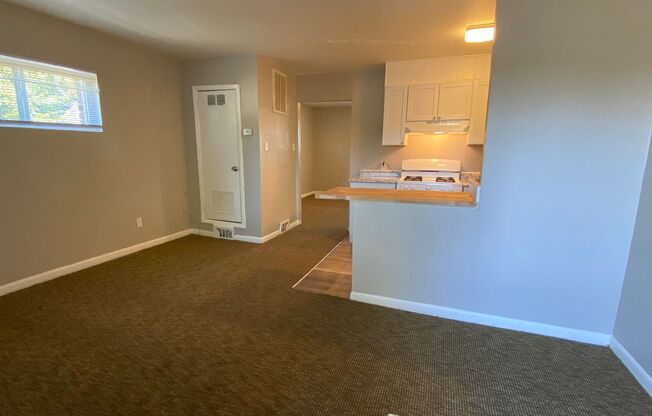 1 bed, 1 bath, 430 sqft, $700, Unit 5