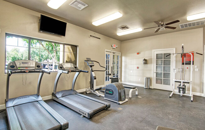 Paradise Falls Indoor Gym