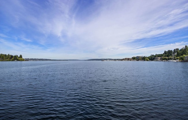 a view of a lake with a blue sky in the background