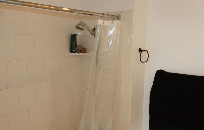 1 bed, 1 bath, $2,750, Unit # 1505