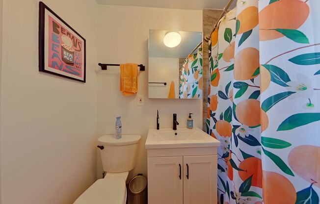 1 bed, 1 bath, 500 sqft, $2,300, Unit 405