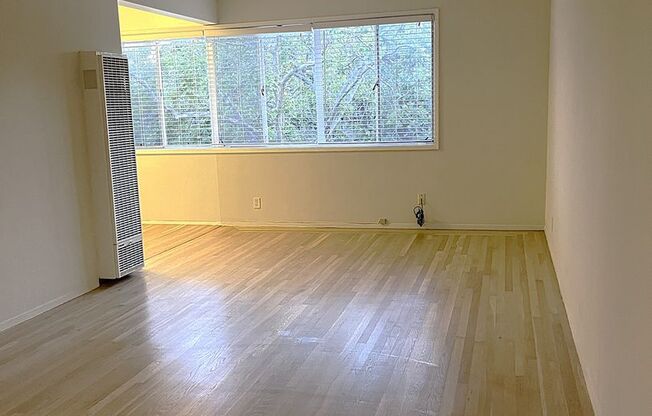 Beautiful quiet large one bedroom one bath with great closet space-