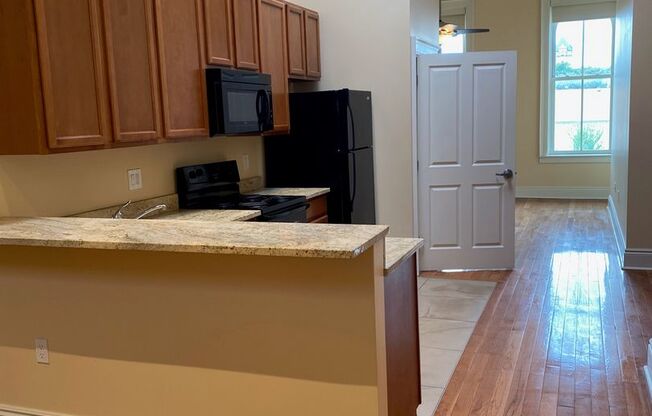 Now Leasing Beautiful Apartments in Downtown Davenport