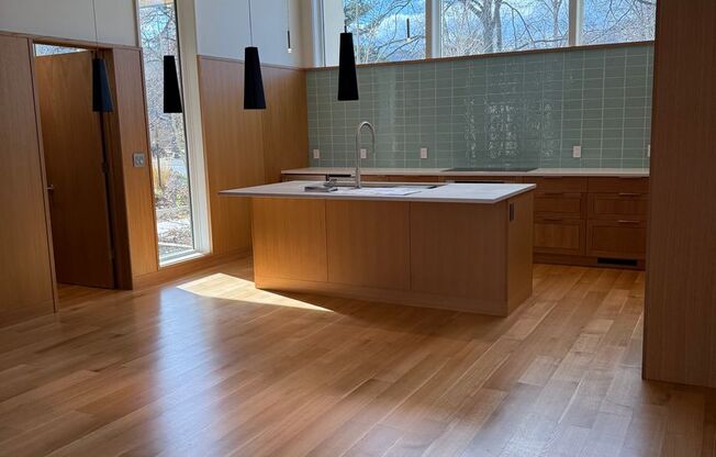 Silver Maple Stunning