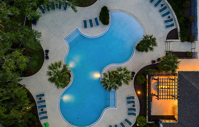 12780-olive-jones-road--tampa--fl-33625---56