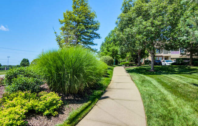 A walkway in a park with green grass and trees.
