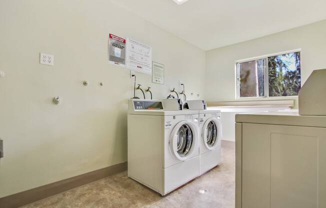 Laundry facility with concrete flooring
