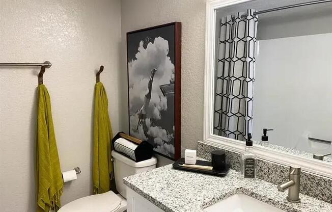Modern Bathroom at Latitude at Riverchase, Hoover, Alabama