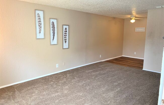 1 bed, 1 bath, 700 sqft, $759, Unit 505