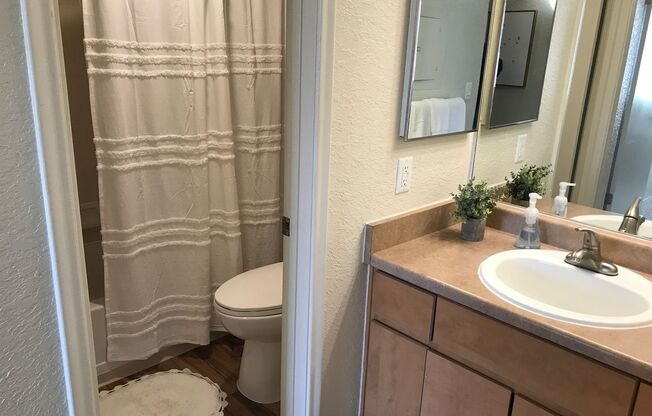 2 beds, 1 bath, 700 sqft, $1,125, Unit 12143