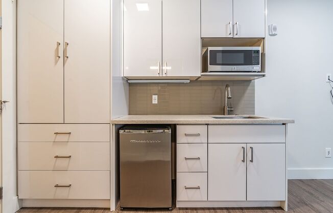 Studio, 1 bath, 210 sqft, $1,015, Unit 102