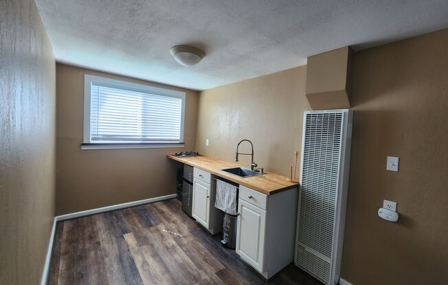 Studio, 1 bath, 500 sqft, $1,095