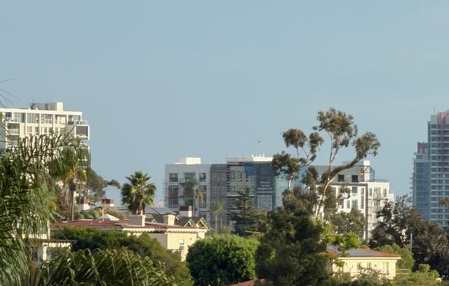 Studio, 1 bath, 468 sqft, $2,249, Unit 412