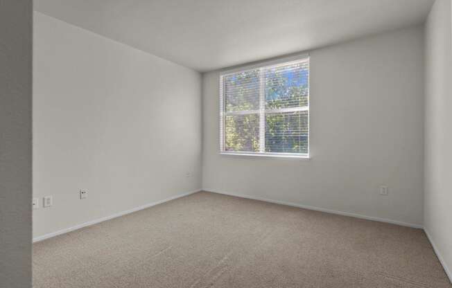 an empty room with a window and carpet