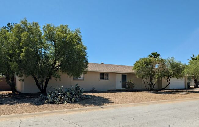 EXCEPTIONAL AREA/NEIGHBORHOOD-4 Bedrooms~Scottsdale Schools~1/2 Acre Lot