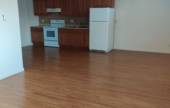 1 bed, 1 bath, 750 sqft, $1,350, Unit Apt 1