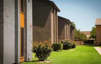 community buildings with green bushes