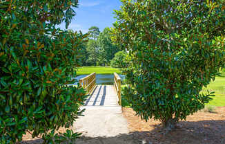 A bridge made of wood and concrete is seen through the leaves of a tree.