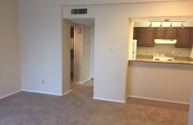 1 bed, 1 bath, $1,225