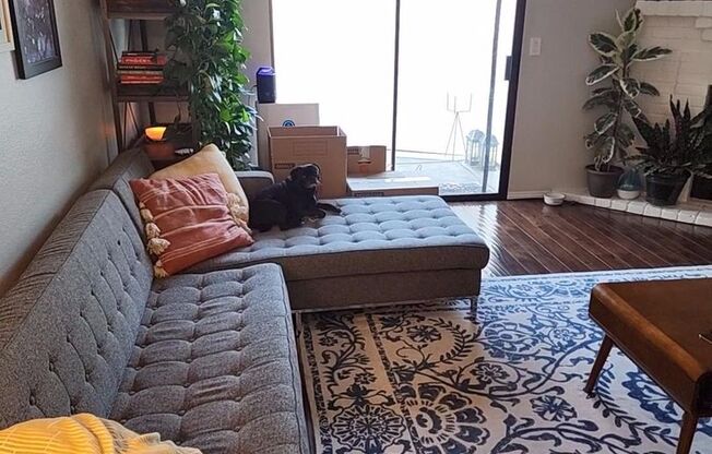 Adorable 2/2 Pocket Area Half-Plex!  PLEASE READ BELOW AD FOR VIEWINGS