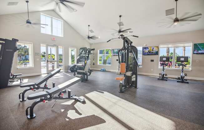 Gym at Palm Grove in Ellenton, FL 34222