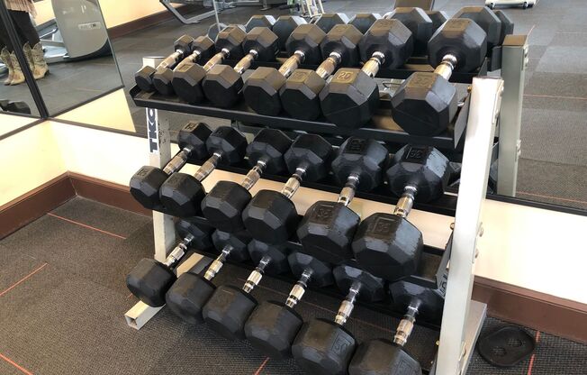 1 bed, 1 bath, 856 sqft, $1,170, Unit 0812