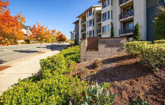 A tree with orange leaves is in front of a building with a sign that says "Discovery Heights".