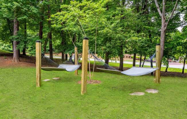 a group of hammocks hanging in a park