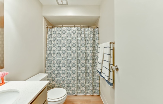 Bathroom with bathtub curtains