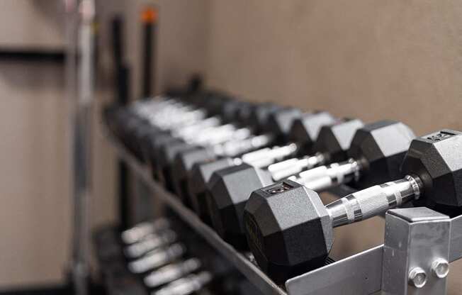 close up of weight rack