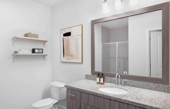 A bathroom with a toilet, sink, and mirror.