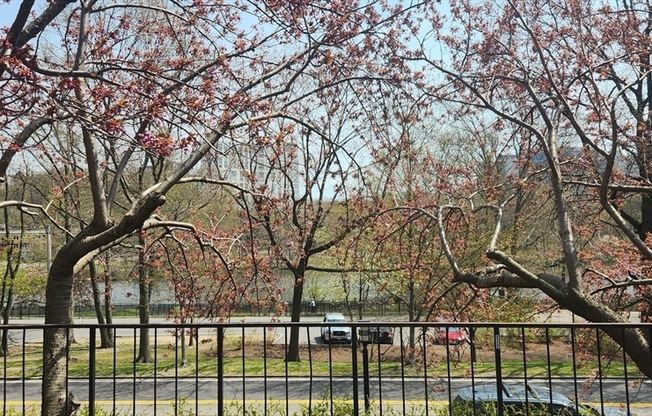1 bed, 1 bath, 860 sqft, $3,100, Unit 507