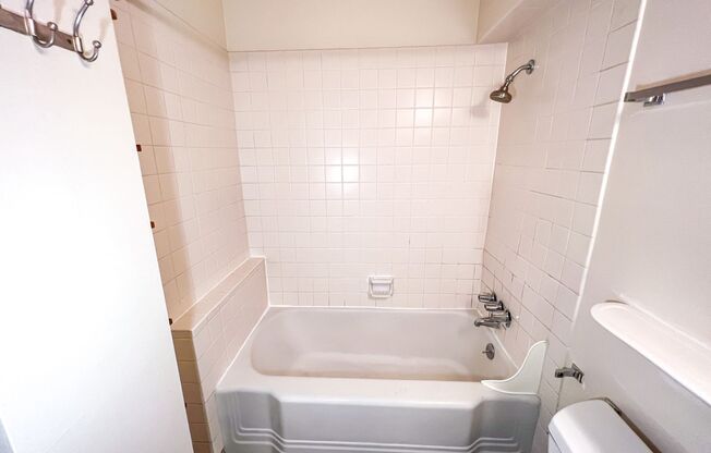 Studio, 1 bath, 500 sqft, $1,495