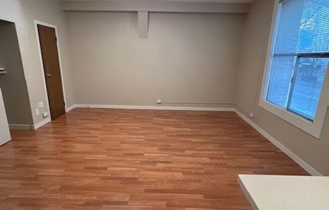 Studio, 1 bath, 340 sqft, $1,325, Unit 202