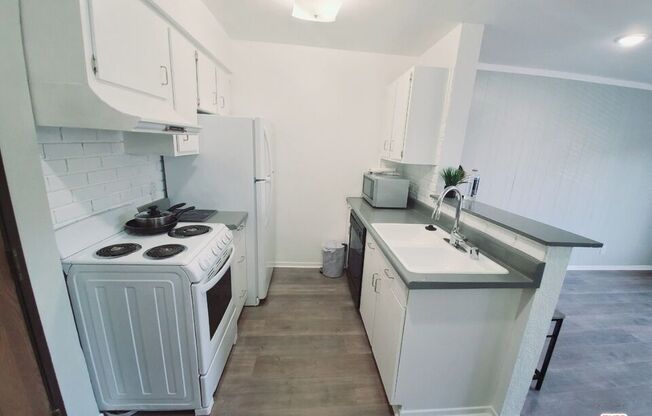 Studio, 1 bath, 444 sqft, $1,800, Unit 263