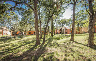 a park with trees and buildings in the background