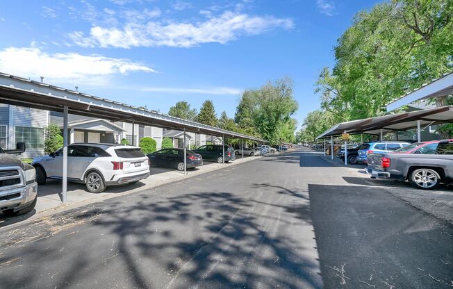 2 beds, 1 bath, 900 sqft, $1,200, Unit P-2