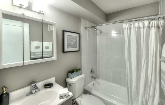 Oversized Soaking Tub In Bath, at Axis at Westmont, Westmont