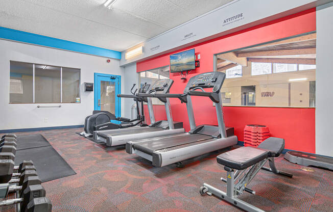 A gym with treadmills, weights and exercise equipment.