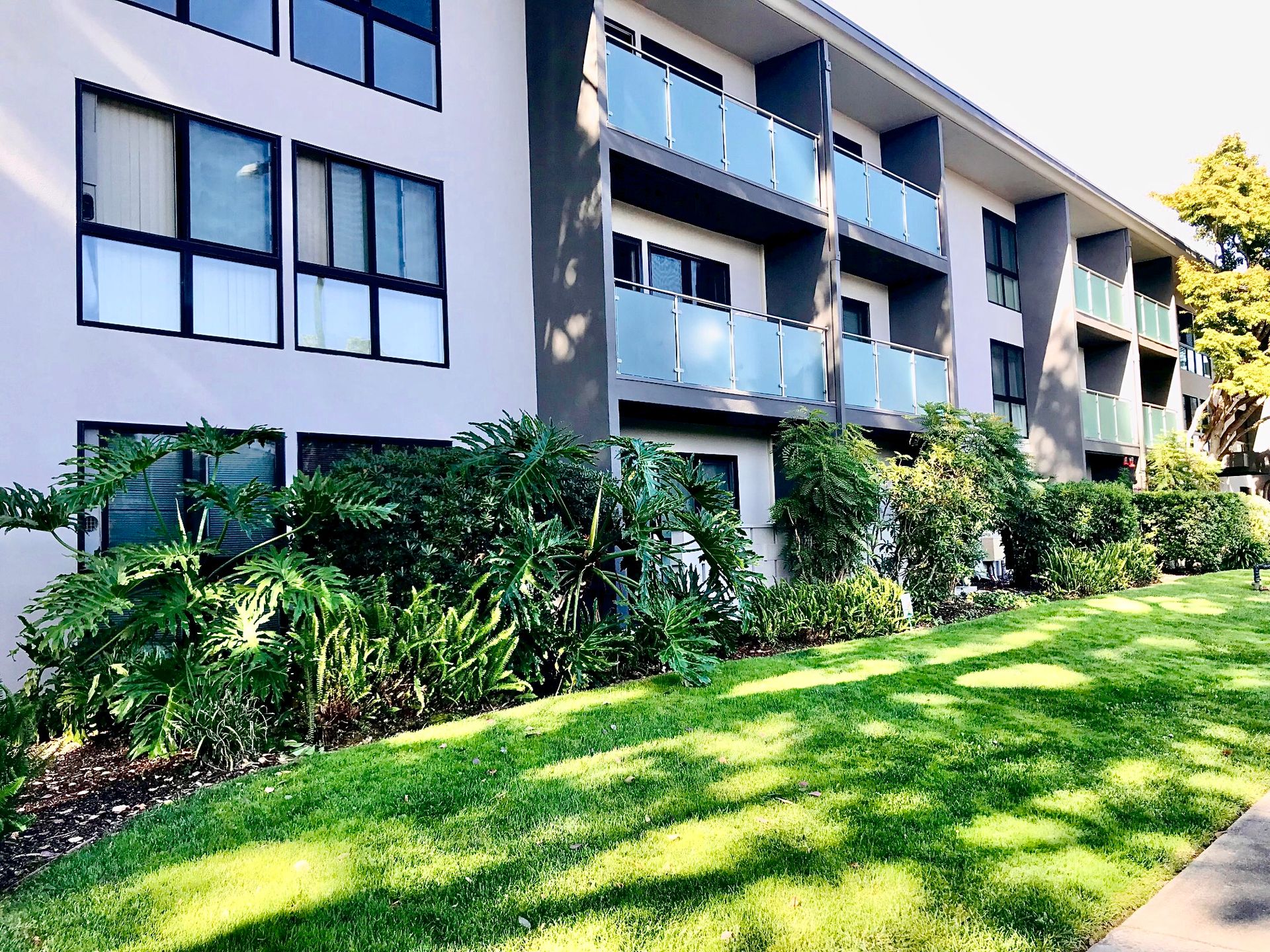 Mountain View - The Camille North Apts - Close to San Antonio Center, Caltrain, Stanford