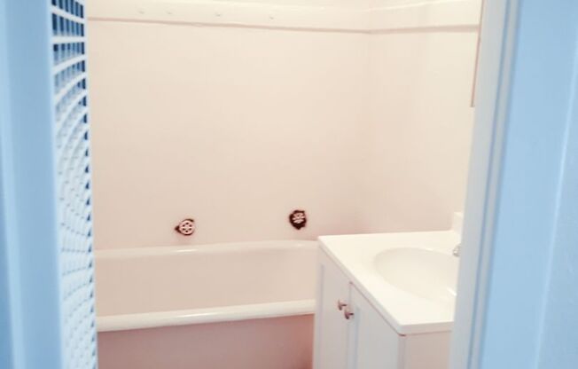 1 bed, 1 bath, 410 sqft, $1,495, Unit 303