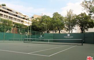 Studio, 1 bath, 481 sqft, $2,250, Unit 1209