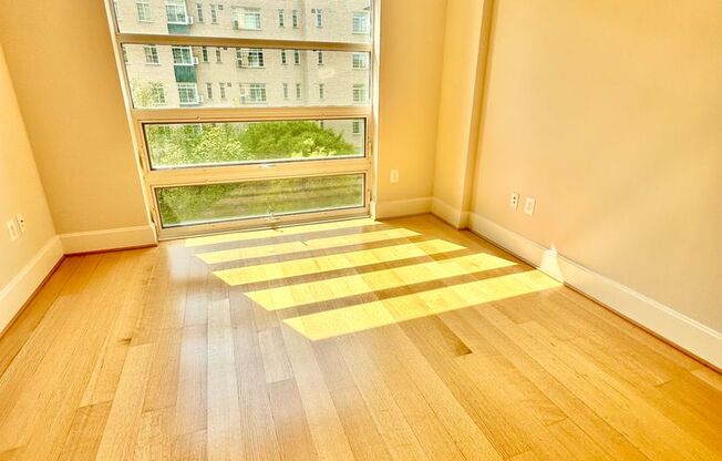 1 bed, 1 bath, $2,500, Unit 506