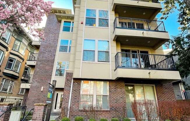 2 beds, 2.5 baths, 1,033 sqft, $3,695, Unit 201