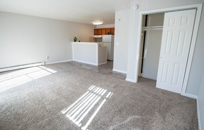 Studio, 1 bath, 380 sqft, $1,095