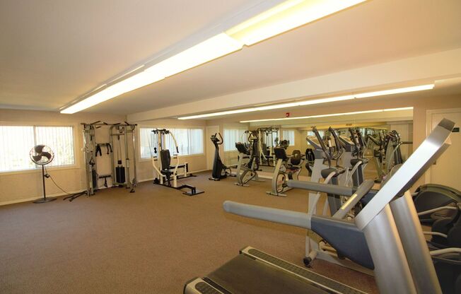 1 bed, 1 bath, $2,000, Unit C24