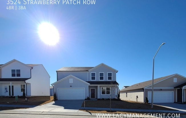 3524 STRAWBERRY PATCH ROW