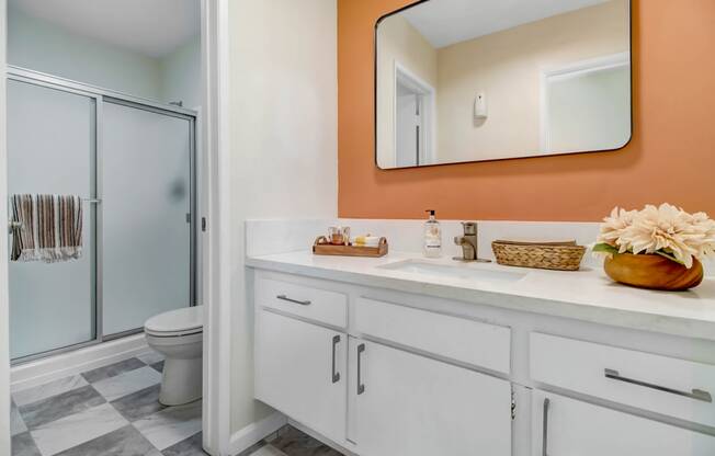 a bathroom with a mirror and a toilet and a shower