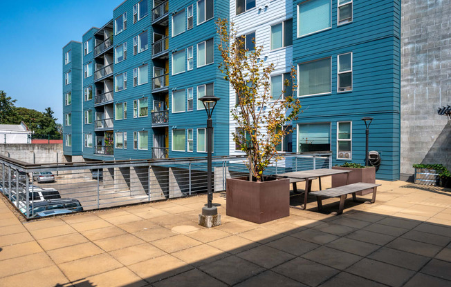 an outdoor patio with benches and a tree in front of a blue building