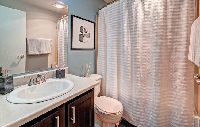 A bathroom with a white sink, toilet, and a shower curtain.